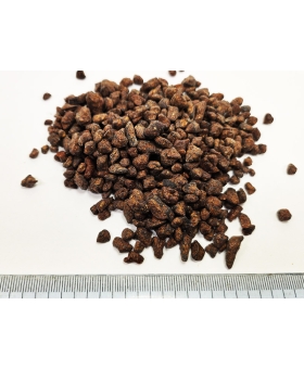 COCOA NIBS NATURAL 5 kg ziarno kakaowca czyste bez dodatków z Peru